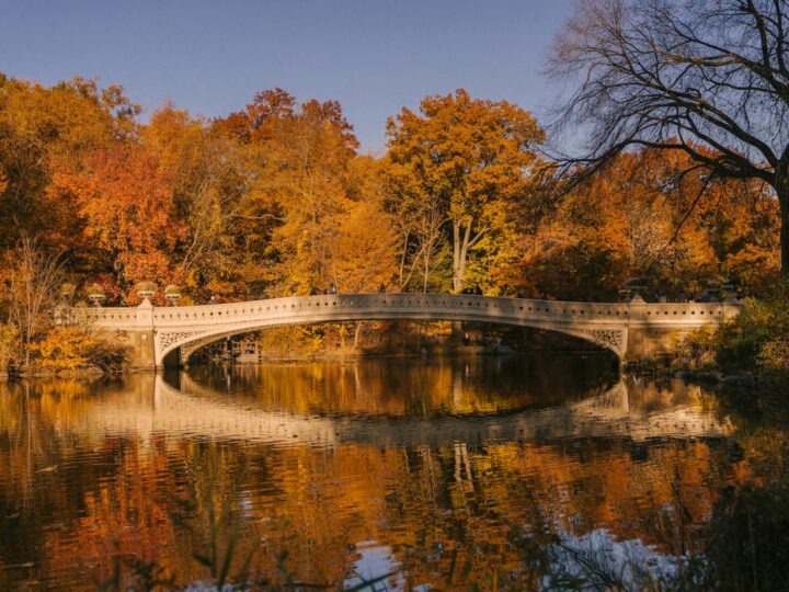Central Park Simion Brnuiu